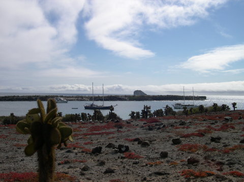 galapagos-sea-land-boats