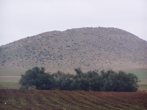 Photo 030