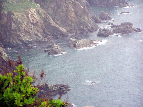 Photo 051