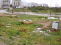 Photo 065