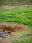 Photo 069