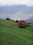 Photo 071