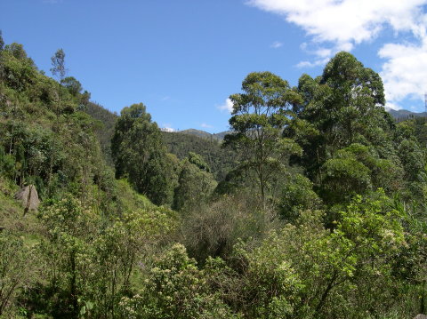 ecuador-banos-scene