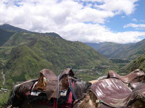 ecuador-banos-mountain-horses