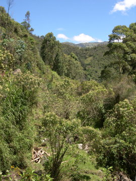 ecuador-banos-scene-2