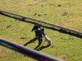 ecuador-nariz-del-diablo-kids-dog