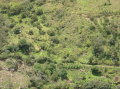 ecuador-banos-horseriding