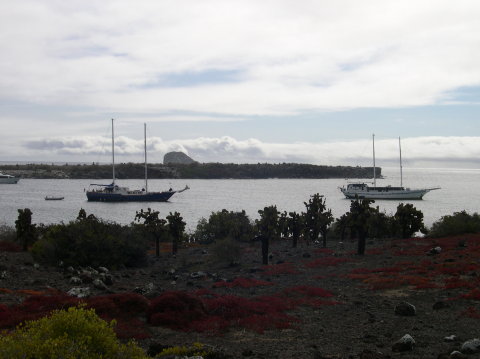 galapagos-sea-boat