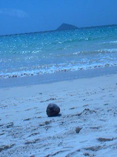galapagos-beach