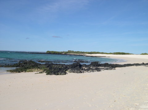 galapagos-rabida-beach