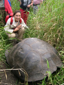 galapagos-giant-turtle-delphine-2