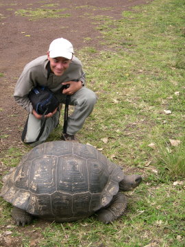 galapagos-giant-turtle-raphael