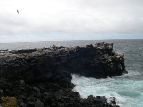 galapagos-sea-rcos-wind