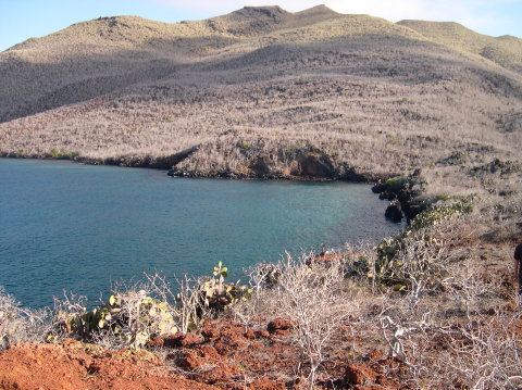 galapagos-sea-coast