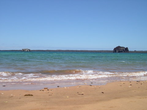 galapagos-beach-sea