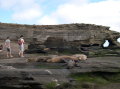 galapagos-sea-lions-12