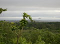 galapagos-scene-sta-cruz