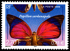 papillon
