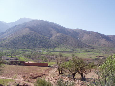 Photo 042