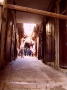 Photo 053