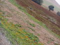 Photo 026