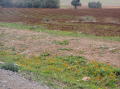 Photo 027