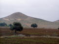 Photo 028