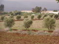 Photo 031