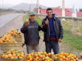 Photo 033
