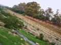 Photo 037