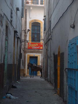 maroc-medina-ruelle-poisson-volant