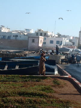 maroc-essaouira-port