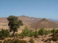 maroc-paysage